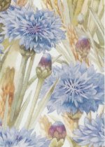 Jenny og Seng Chye